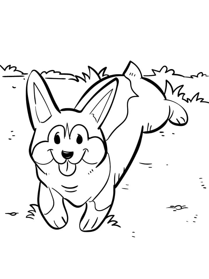 Free printable Corgi coloring page #220781 from Animals collection Free printable Corgi coloring page #220781 from Animals collection