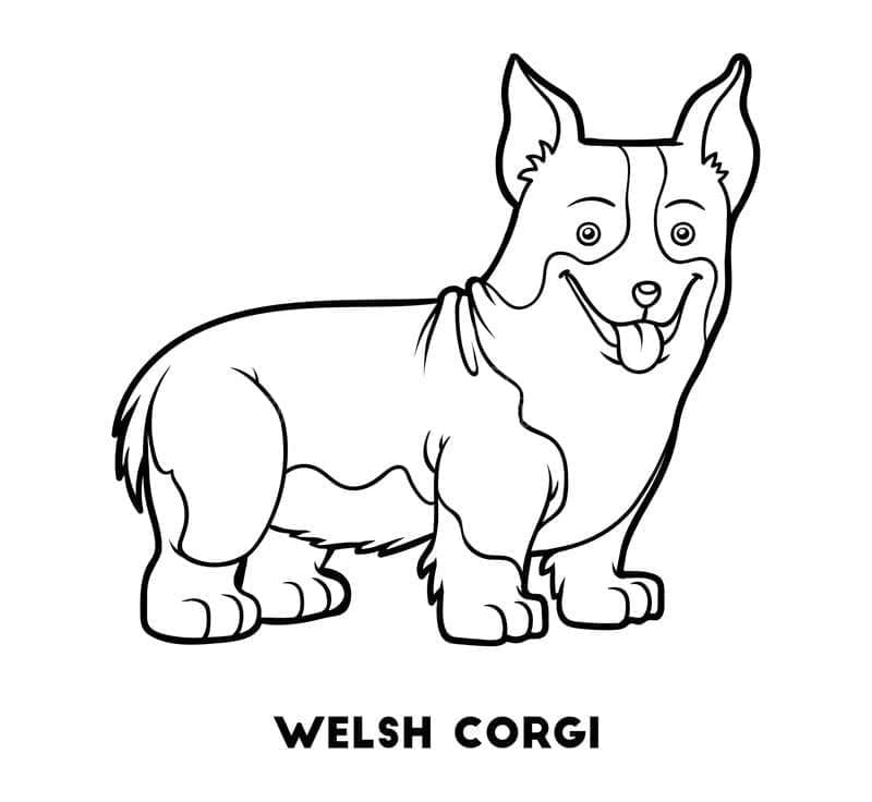 Free printable Corgi coloring page #220783 from Animals collection
