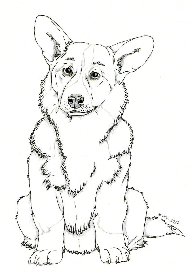 Free printable Corgi coloring page #220787 from Animals collection