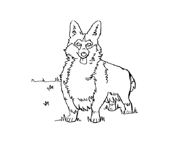 Free printable Corgi coloring page #220791 from Animals collection