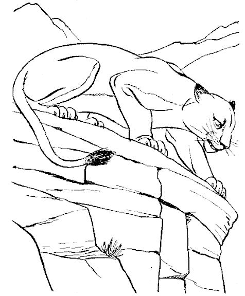 Cougar 4383 Animals Free Printable Coloring Pages