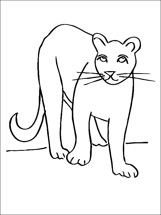 Coloring page: Cougar (Animals) #4384 - Free Printable Coloring Pages