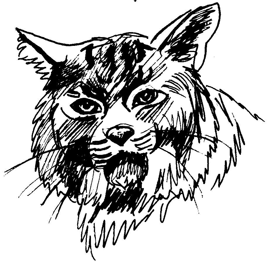 Coloring page: Cougar (Animals) #4398 - Free Printable Coloring Pages
