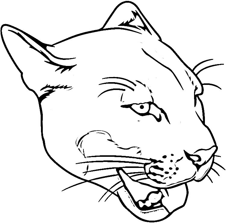 Coloring page: Cougar (Animals) #4415 - Free Printable Coloring Pages