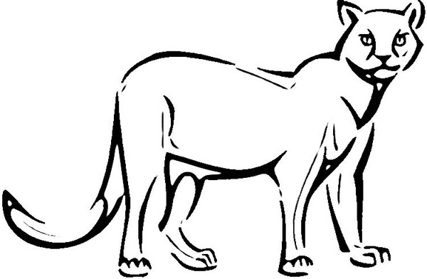 Download Cougar (Animals) - Printable coloring pages