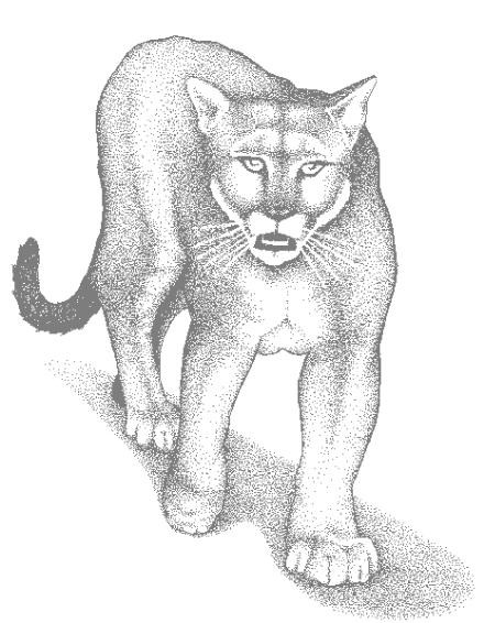 Drawing Cougar #4444 (Animals) – Printable coloring pages