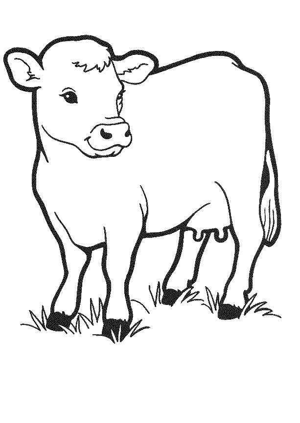 Coloring page: Cow (Animals) #13189 - Free Printable Coloring Pages