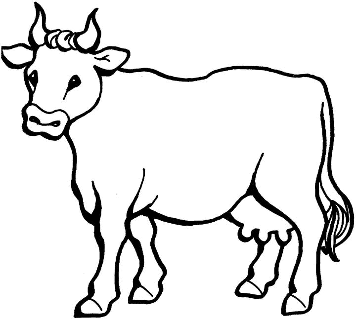 Coloring page: Cow (Animals) #13195 - Printable coloring pages