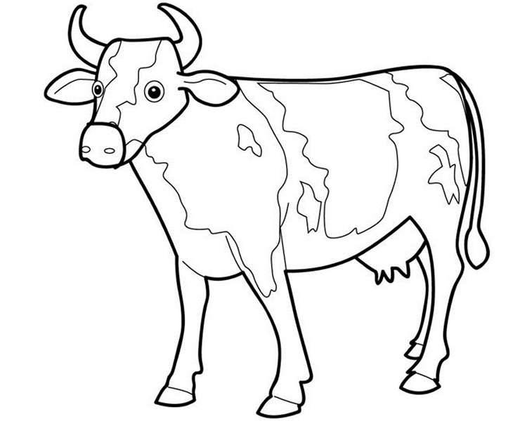 Coloring page: Cow (Animals) #13197 - Free Printable Coloring Pages