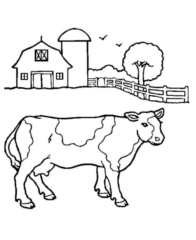 Coloring page: Cow (Animals) #13202 - Free Printable Coloring Pages