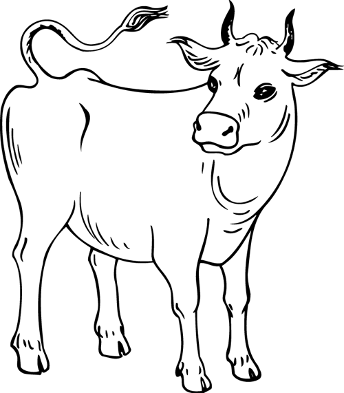 Drawing Cow #13248 (Animals) – Printable coloring pages