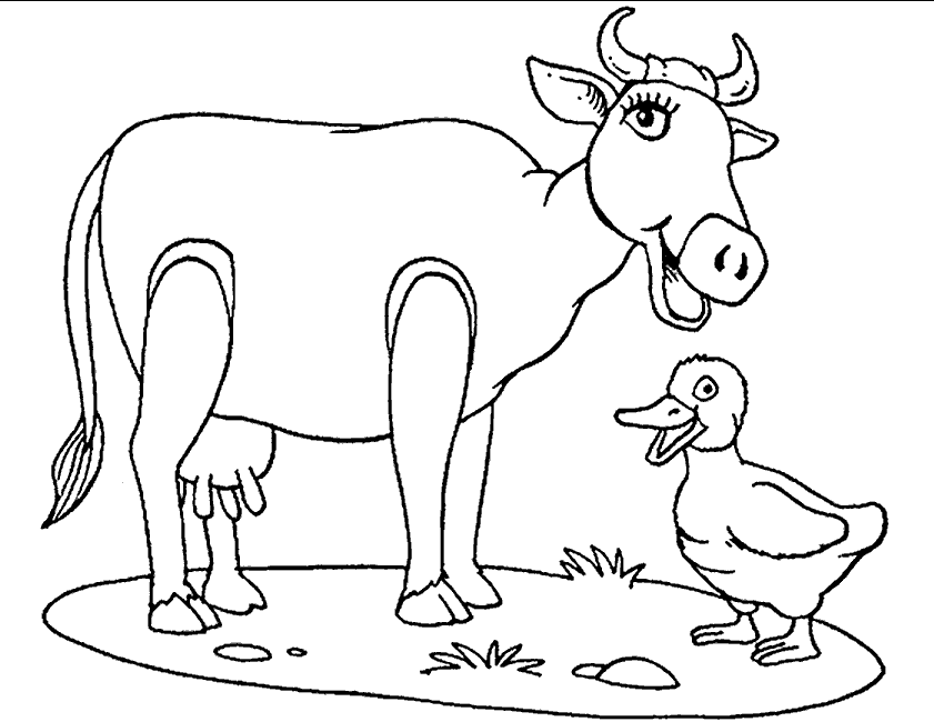 Coloring page: Cow (Animals) #13258 - Printable coloring pages