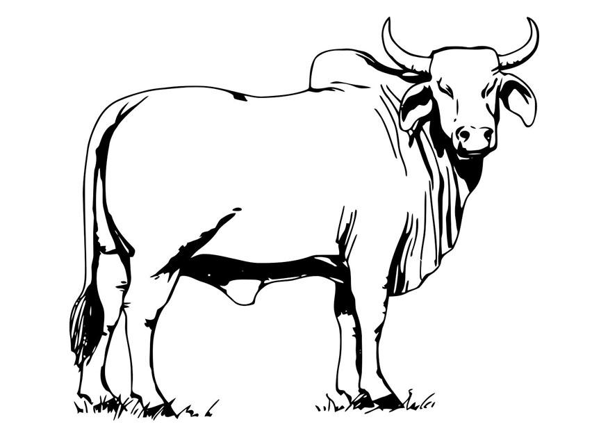 Coloring page: Cow (Animals) #13260 - Printable coloring pages