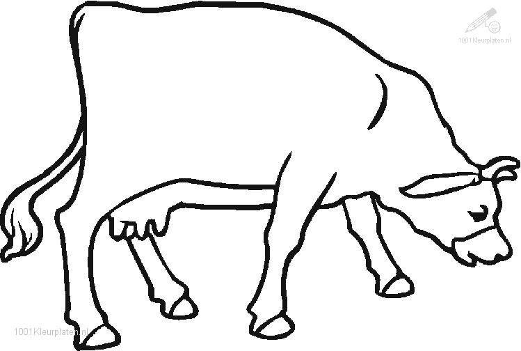 Coloring page: Cow (Animals) #13291 - Printable coloring pages