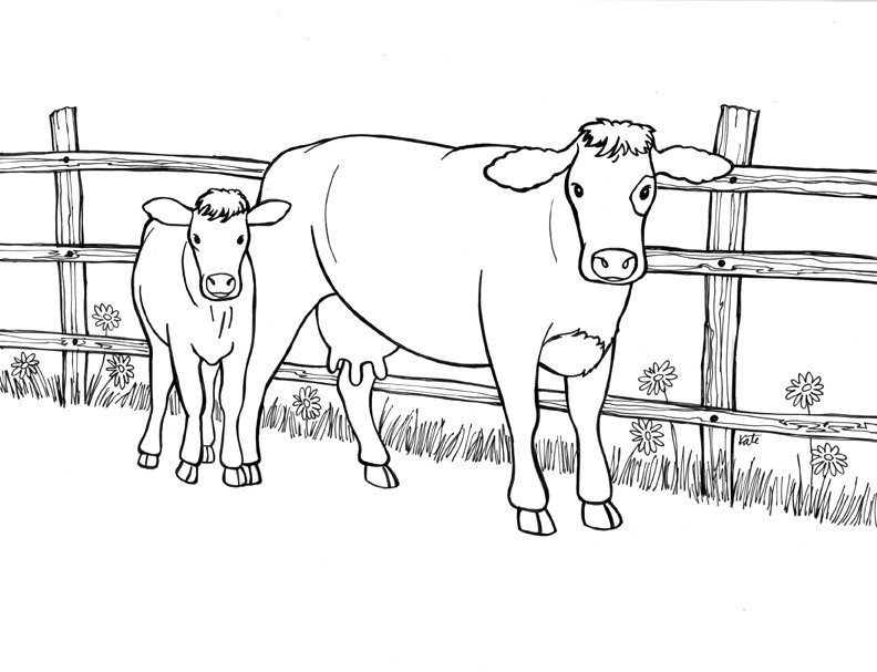 drawing cow 13292 animals printable coloring pages