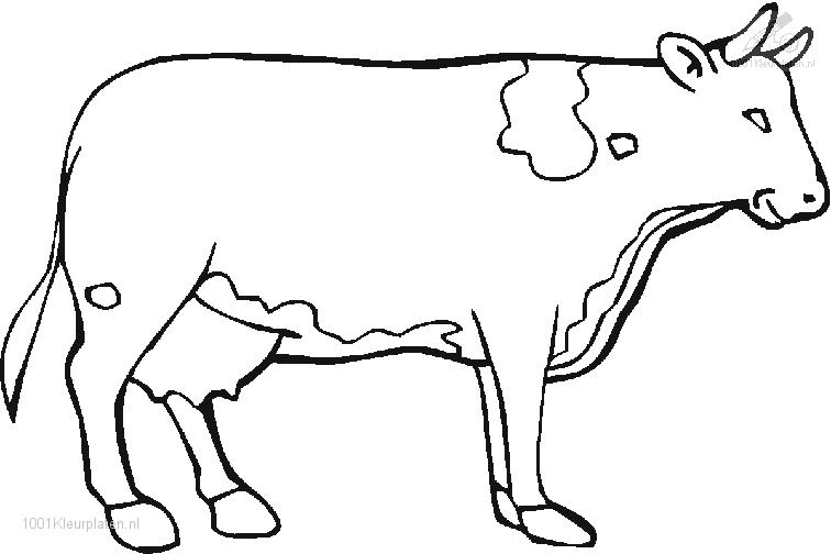Coloring page: Cow (Animals) #13319 - Printable coloring pages