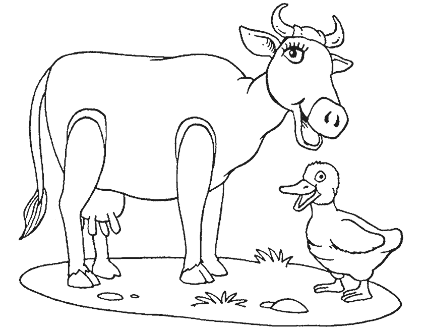 Coloring page: Cow (Animals) #13329 - Free Printable Coloring Pages