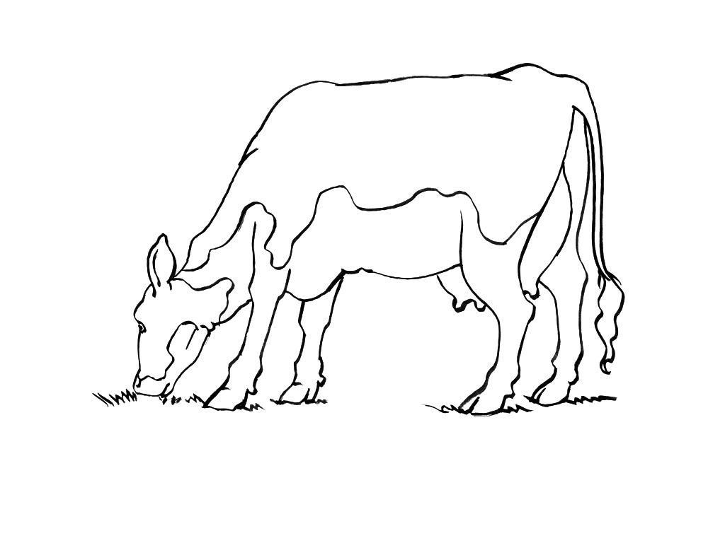 Coloring page: Cow (Animals) #13347 - Free Printable Coloring Pages