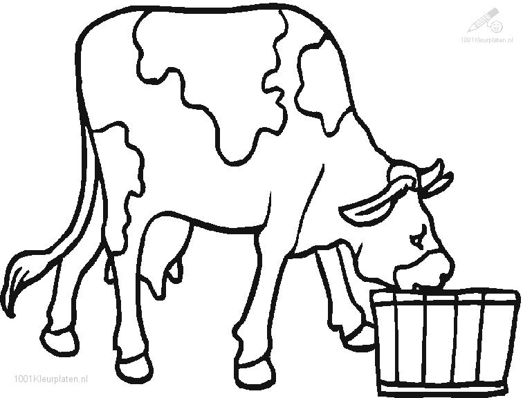 Coloring page: Cow (Animals) #13352 - Printable coloring pages