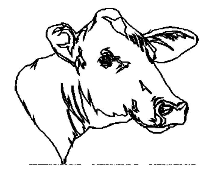 Coloring page: Cow (Animals) #13380 - Printable coloring pages