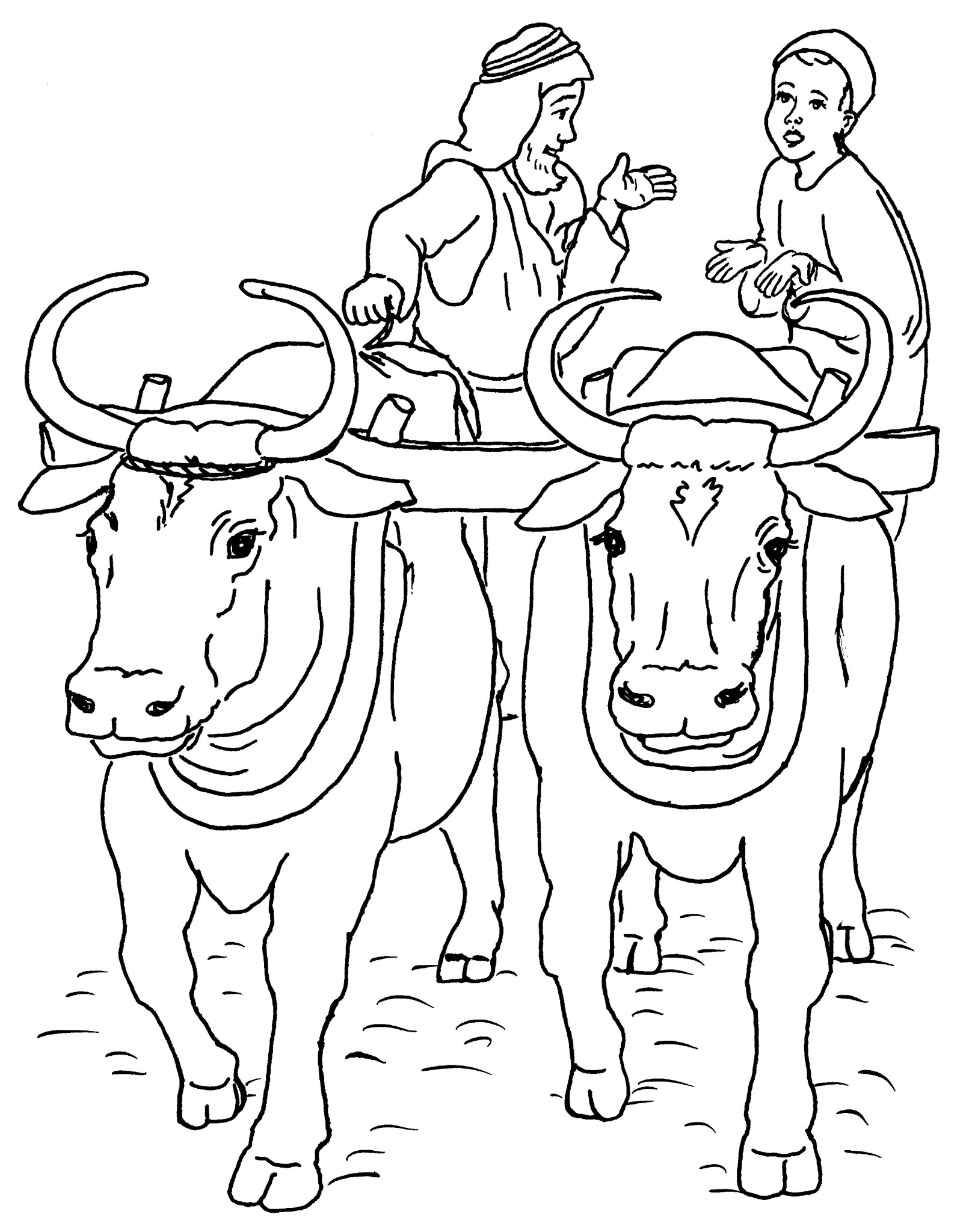 Free printable Cow coloring page #1356 from Animals collection