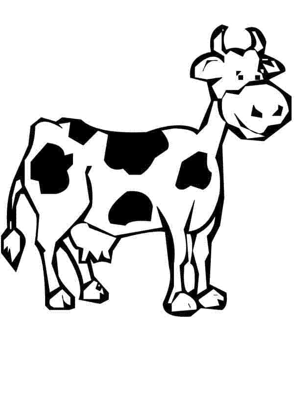 Free printable Cow coloring page #178299 from Animals collection
