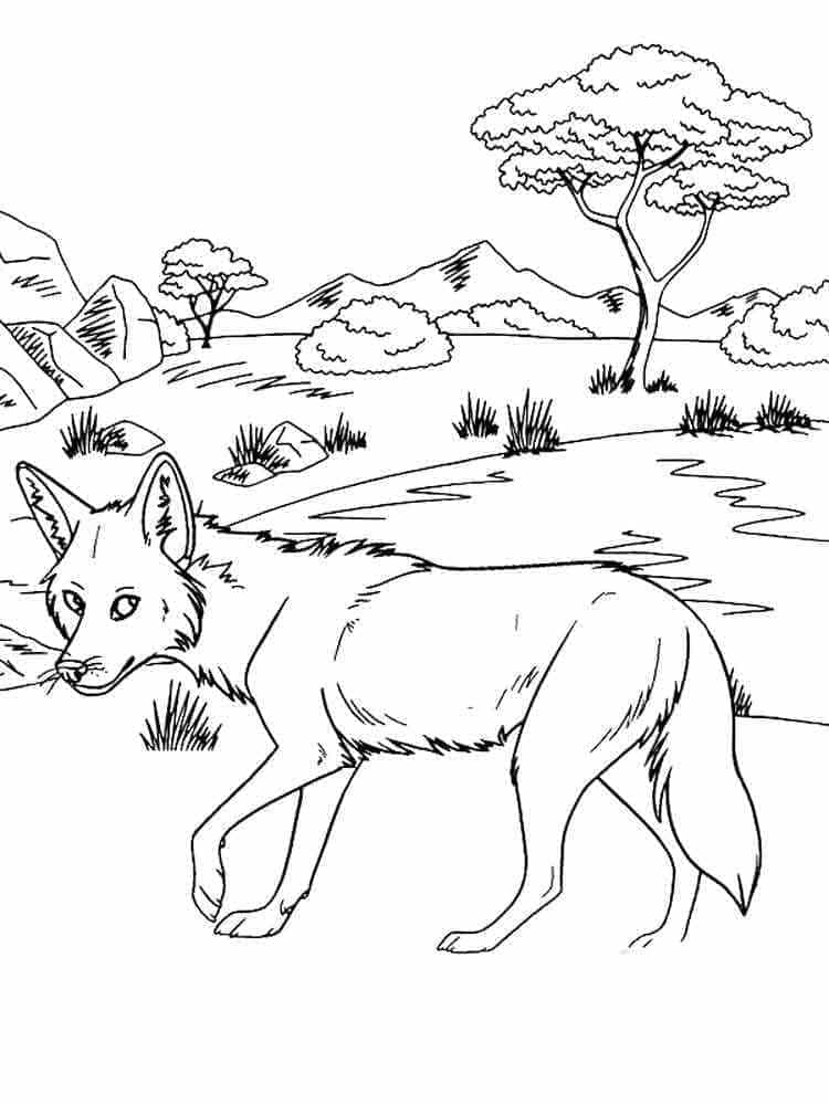 Free printable Coyote coloring page #207098 from Animals collection