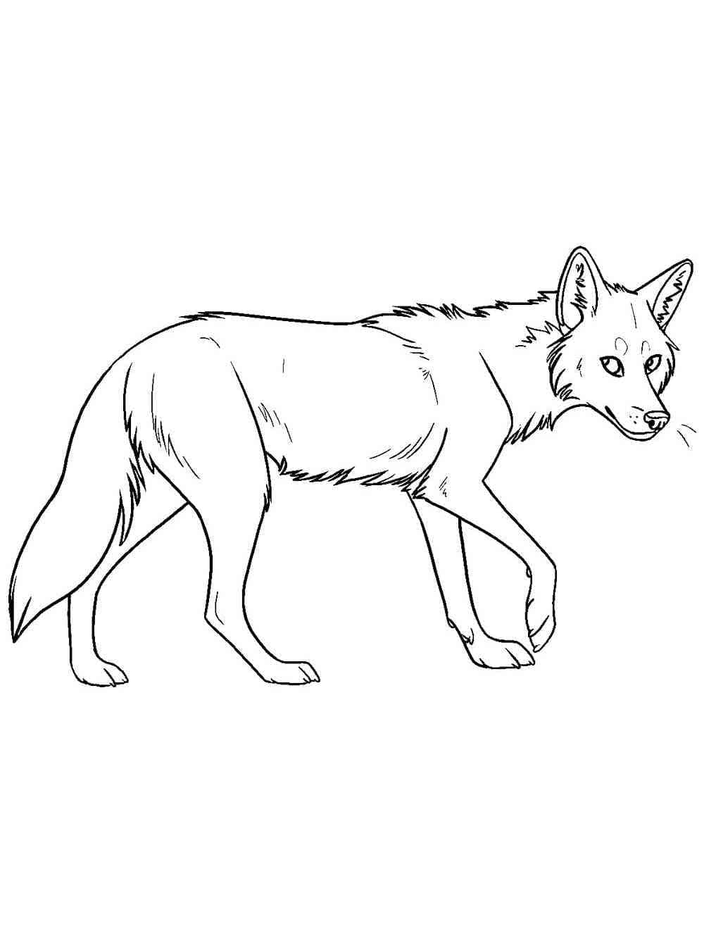 Free printable Coyote coloring page #207106 from Animals collection Free printable Coyote coloring page #207106 from Animals collection