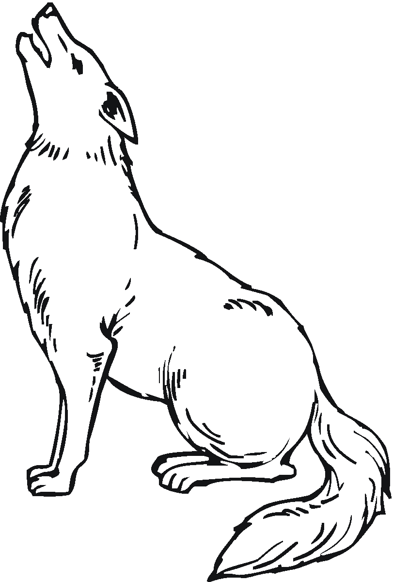 Coloring page: Coyote (Animals) #4492 - Free Printable Coloring Pages