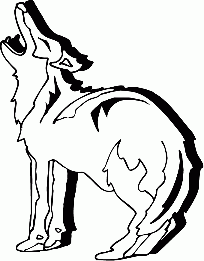 Coloring page: Coyote (Animals) #4505 - Printable coloring pages