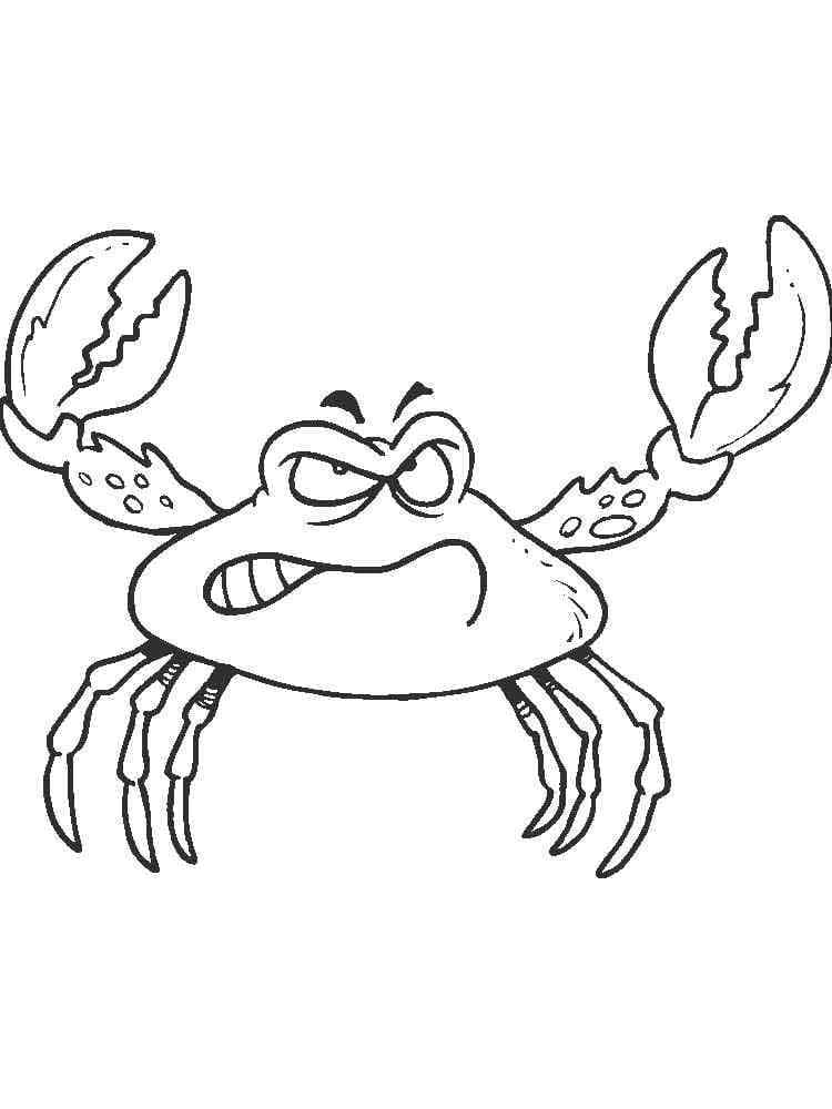 Free printable Crab coloring page #199405 from Animals collection