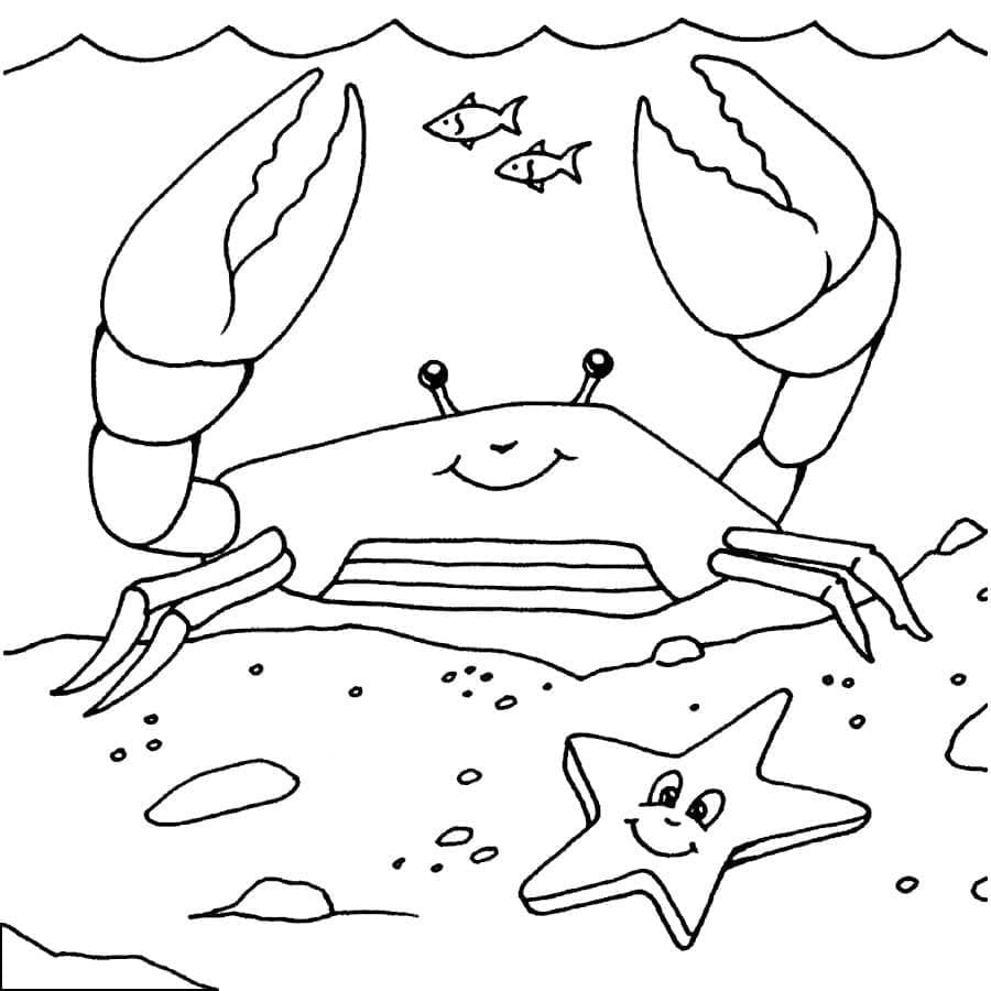 Free printable Crab coloring page #199408 from Animals collection Free printable Crab coloring page #199408 from Animals collection