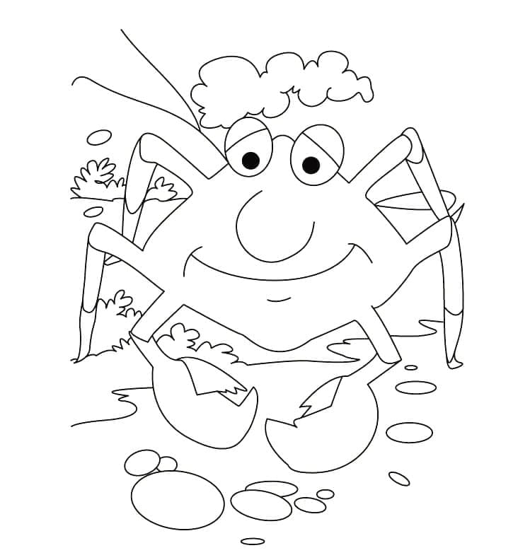 Free printable Crab coloring page #199411 from Animals collection