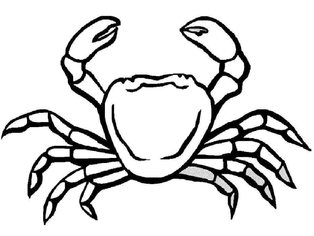 Free printable Crab coloring page #199416 from Animals collection