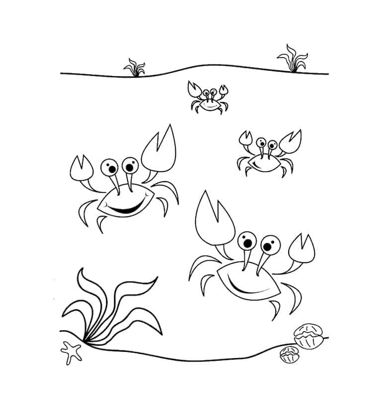 Free printable Crab coloring page #199427 from Animals collection