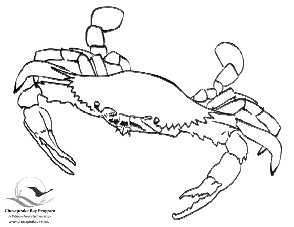 Coloring page: Crab (Animals) #4592 - Free Printable Coloring Pages