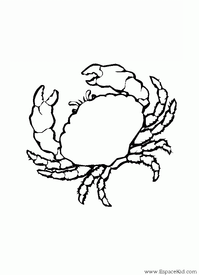 Coloring page: Crab (Animals) #4605 - Printable coloring pages