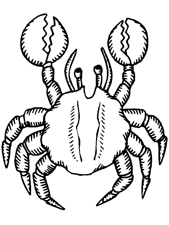 Coloring page: Crab (Animals) #4624 - Free Printable Coloring Pages