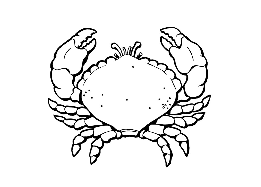 Coloring page: Crab (Animals) #4629 - Free Printable Coloring Pages