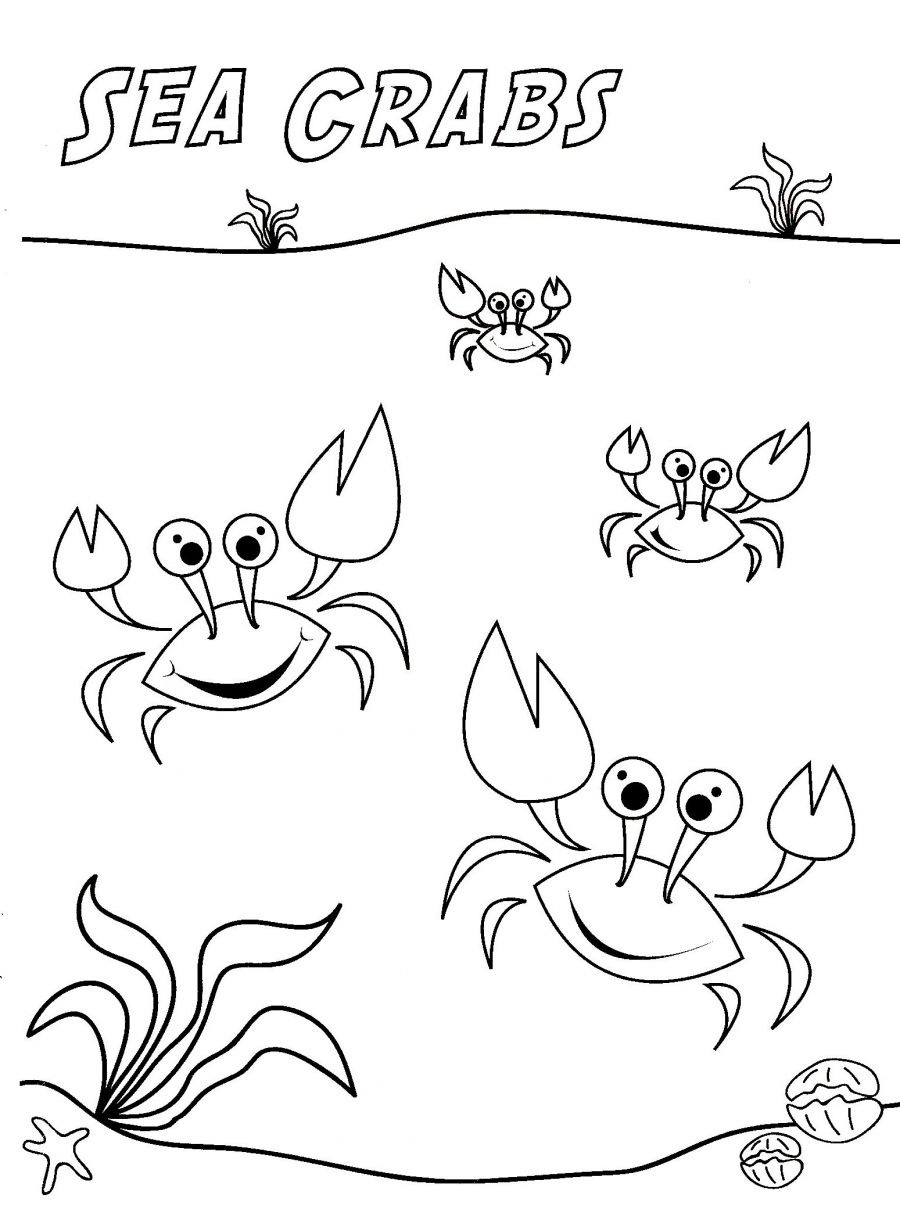 Drawing Crab 20 Animals – Printable coloring pages