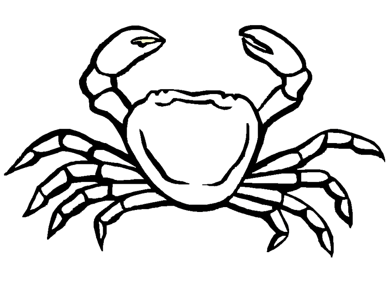 Crab (Animals) – Printable coloring pages