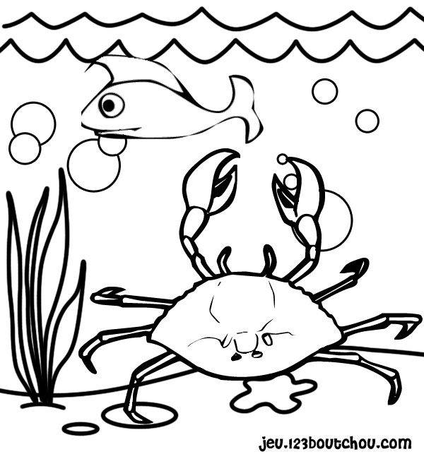 Coloring page: Crab (Animals) #4663 - Free Printable Coloring Pages
