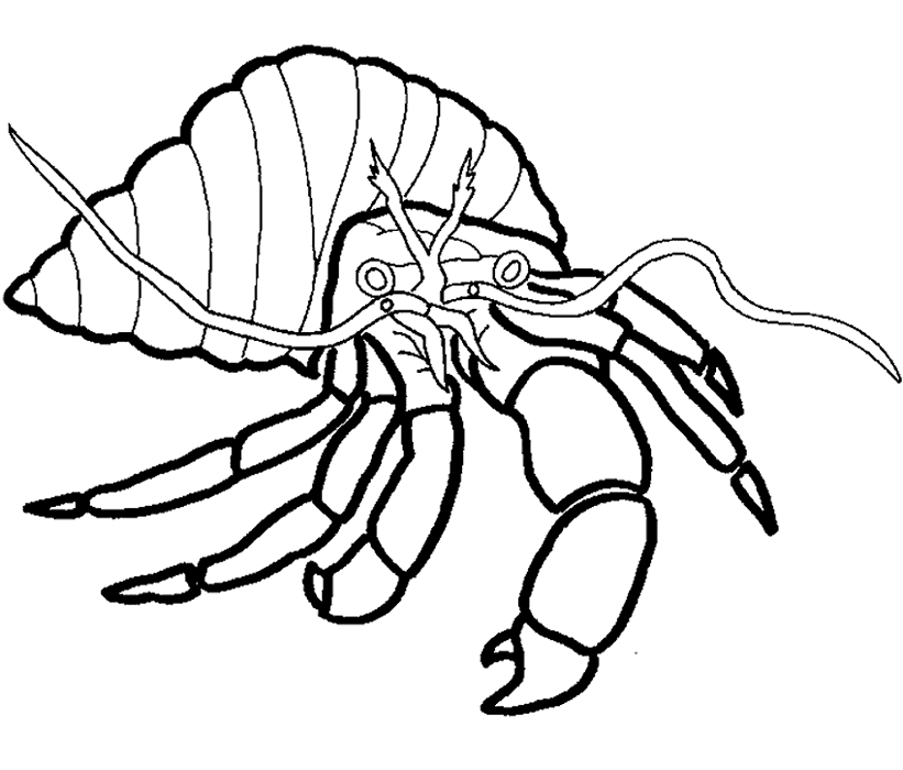 Coloring page: Crab (Animals) #4673 - Free Printable Coloring Pages