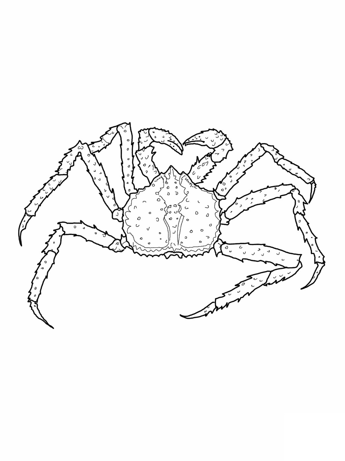 Coloring page: Crab (Animals) #4675 - Free Printable Coloring Pages