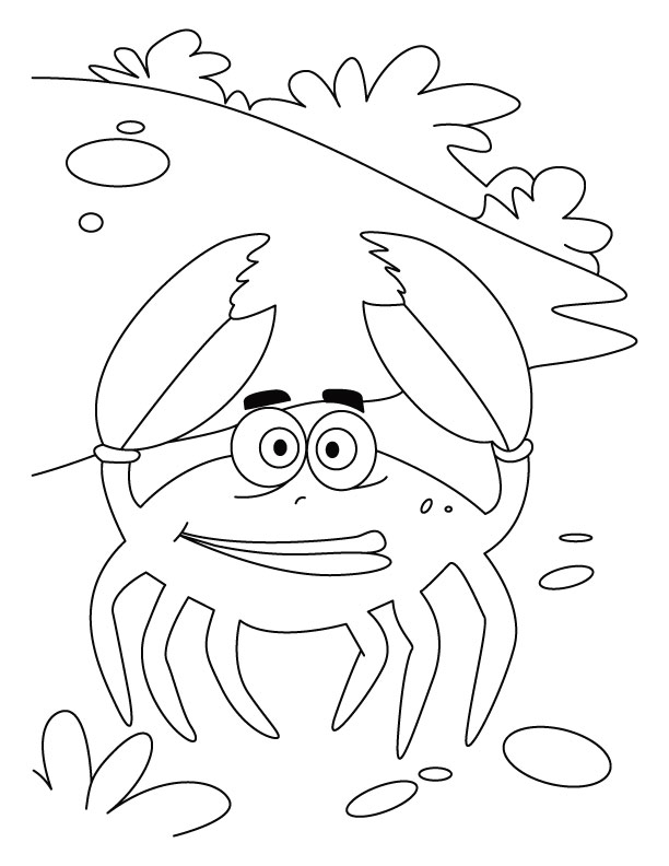 Coloring page: Crab (Animals) #4690 - Printable coloring pages