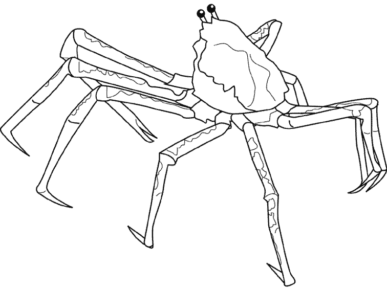 Coloring page: Crab (Animals) #4702 - Free Printable Coloring Pages