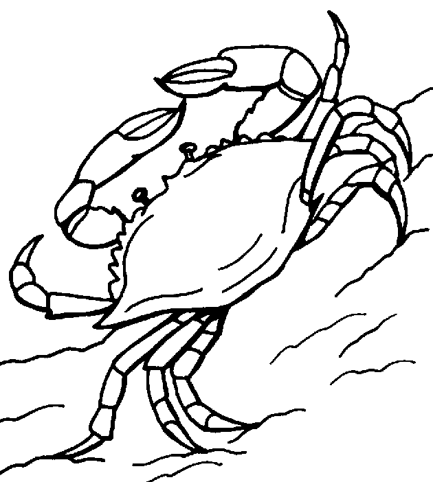 Coloring page: Crab (Animals) #4717 - Free Printable Coloring Pages