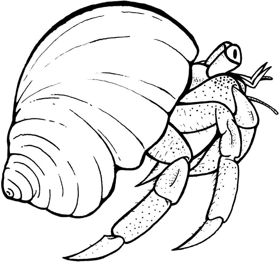 Coloring page: Crab (Animals) #4727 - Free Printable Coloring Pages