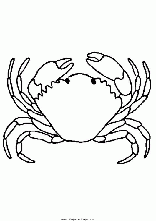 Coloring page: Crab (Animals) #4759 - Free Printable Coloring Pages