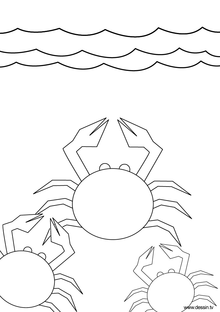 Coloring page: Crab (Animals) #4763 - Free Printable Coloring Pages